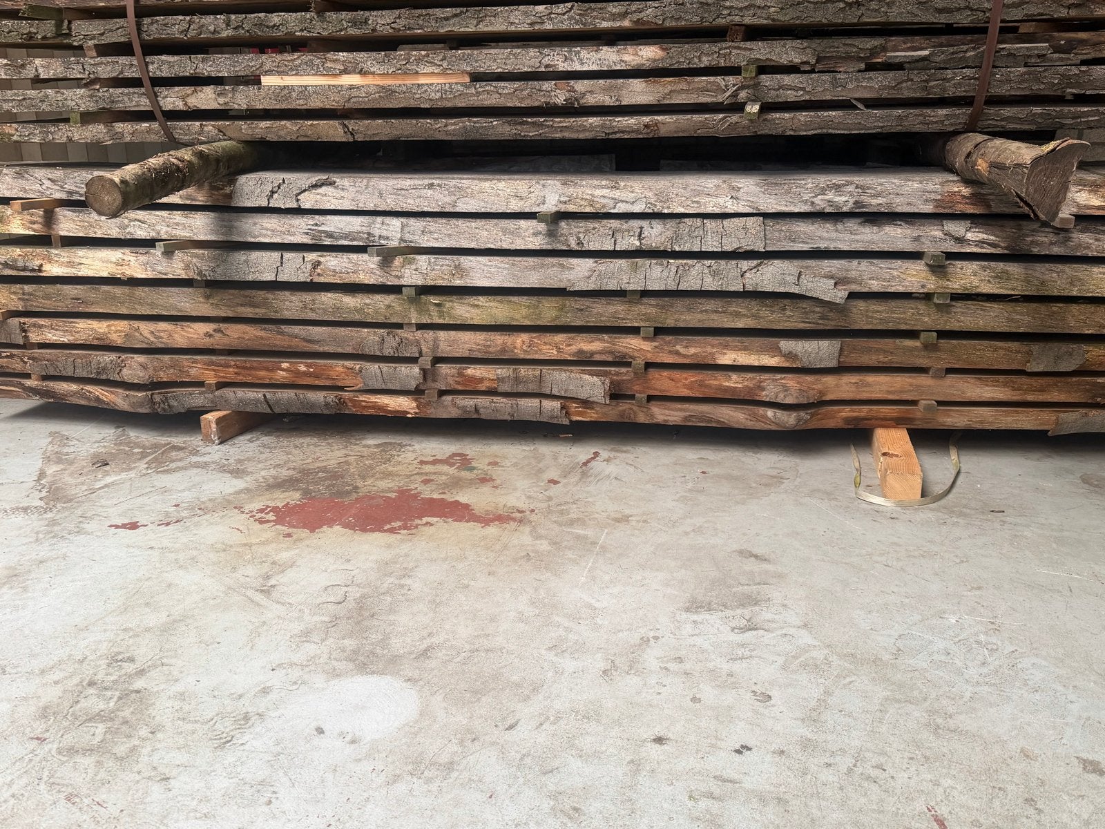 Beuken schaaldelen met slaap, Ophalen, Nieuw, Planken