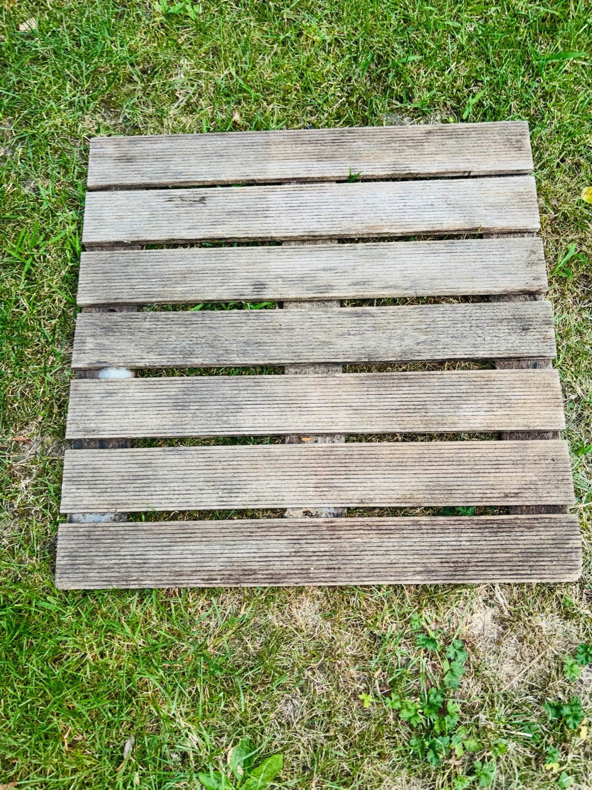 Hardhouten terrastegels 50x50 cm - 35 hele / 10 halve, Ophalen, Gebruikt, Hout