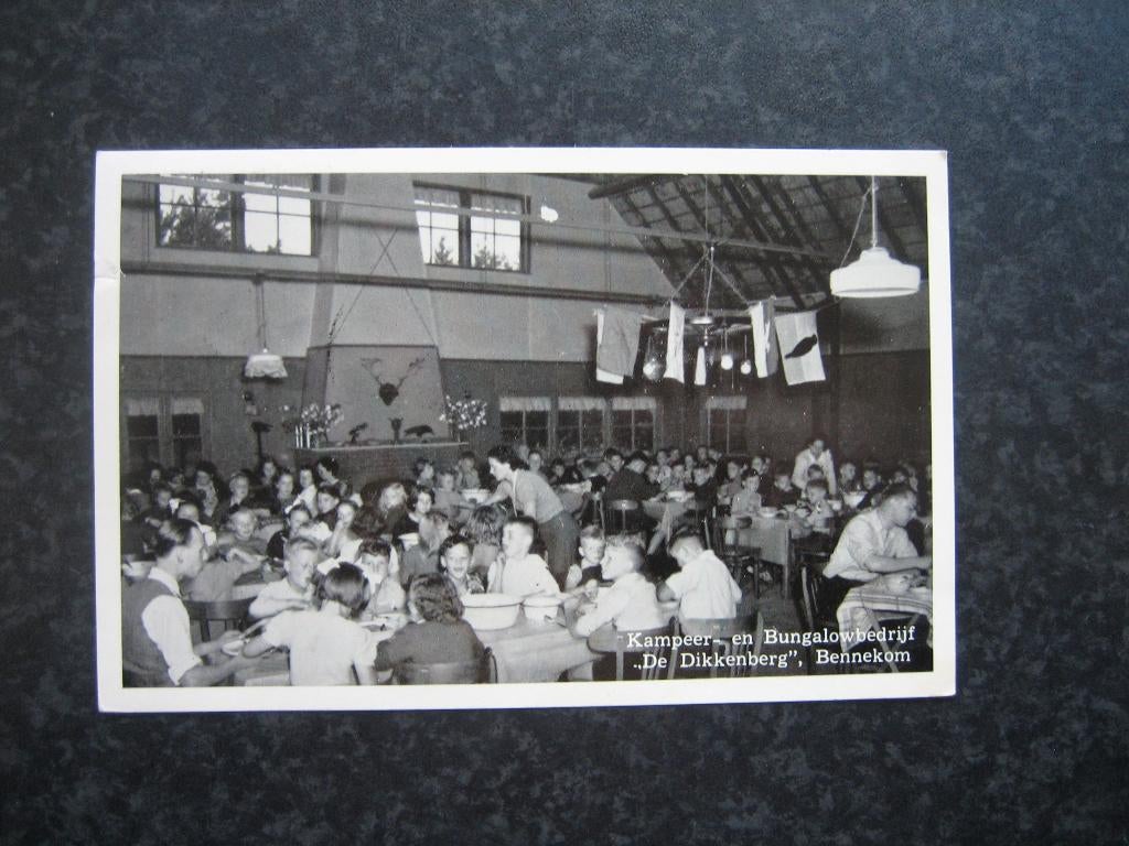 BENNEKOM kampeer en bungalowbedrijf Dikkenberg d 1956, Ophalen of Verzenden, 1940 tot 1960, Gelderland