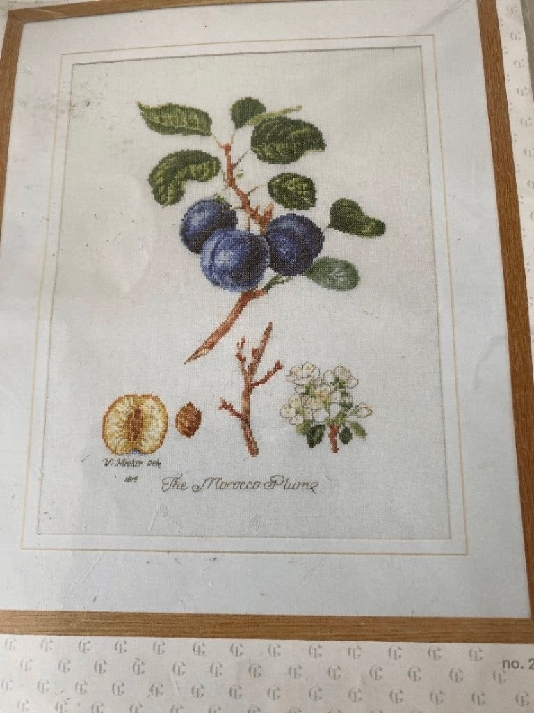 BORDUURPAKKET THEA GOUVERNEUR PRUIM, Verzenden, Nieuw, Handborduren, Borduurpakket
