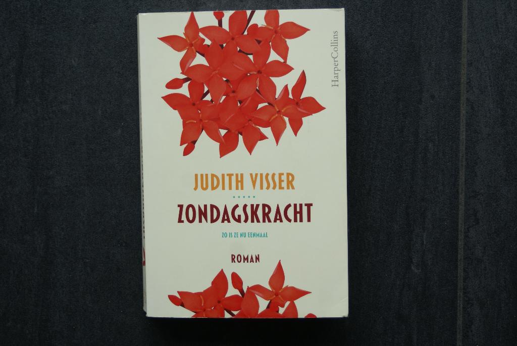 ZONDAGSKRACHT... Judith Visser.. (2025), Boeken, Ophalen of Verzenden, Zo goed als nieuw, Judith Visser