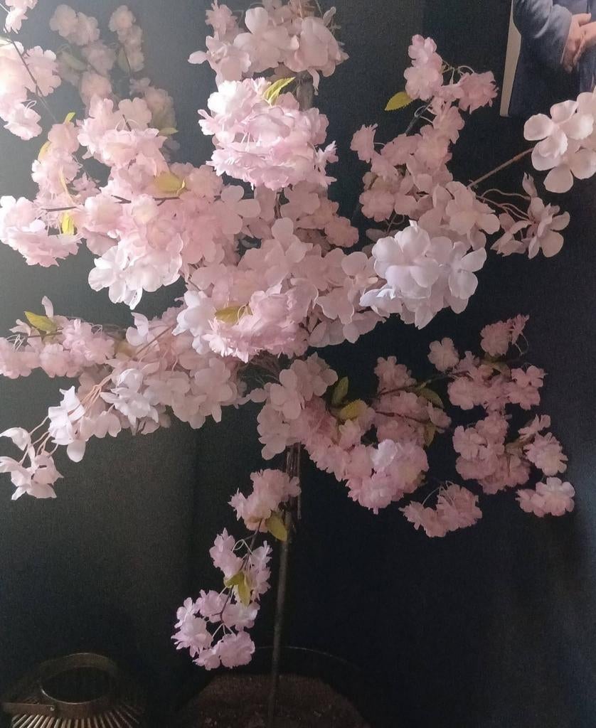 Kunst Bloesemboom - Roze Bloesem, Ophalen of Verzenden, Zo goed als nieuw, Binnen