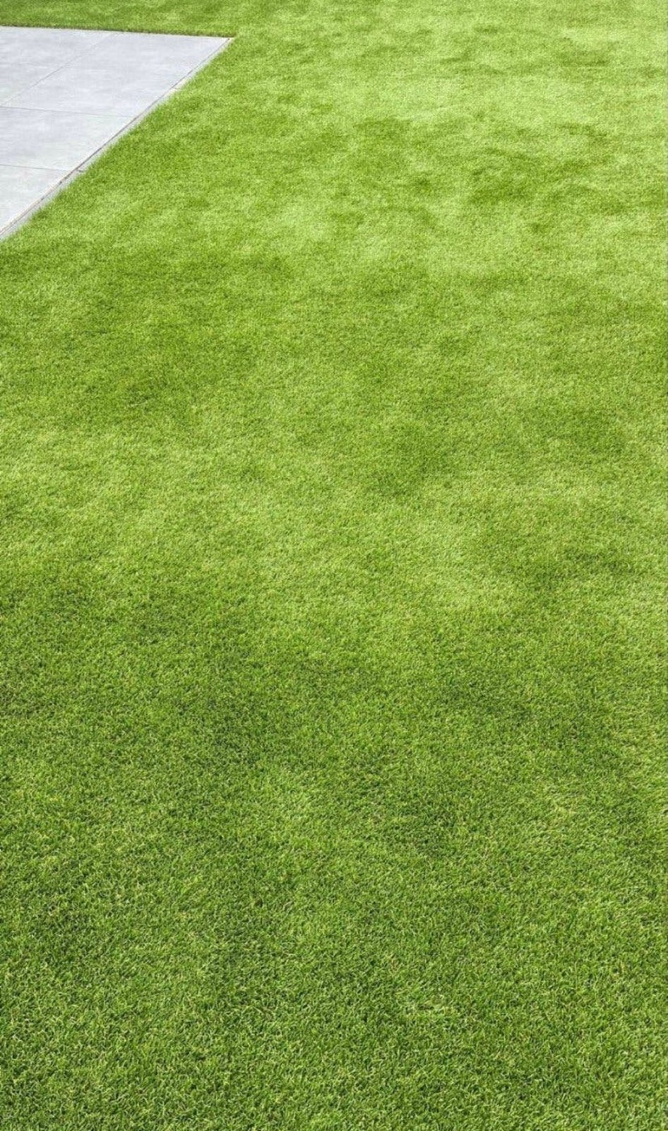 Kunstgras Selection 34, 520cm x 60cm 3m2 NIEUW, Ophalen, Zo goed als nieuw, Minder dan 10 m², Kunstgras