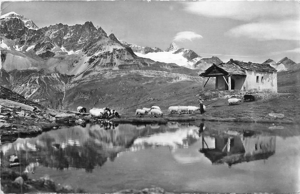 381-293-013 Zermatt Schwarzee, Verzenden, Voor 1920, Overig Europa