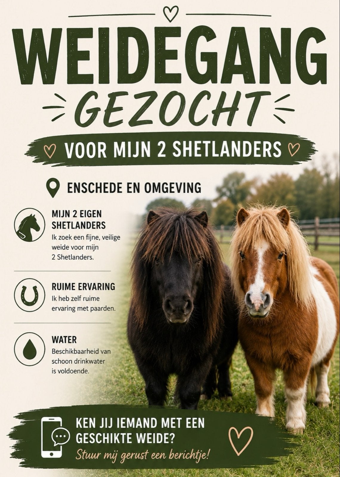 Weidegang gezocht, Weidegang, 1 paard of pony