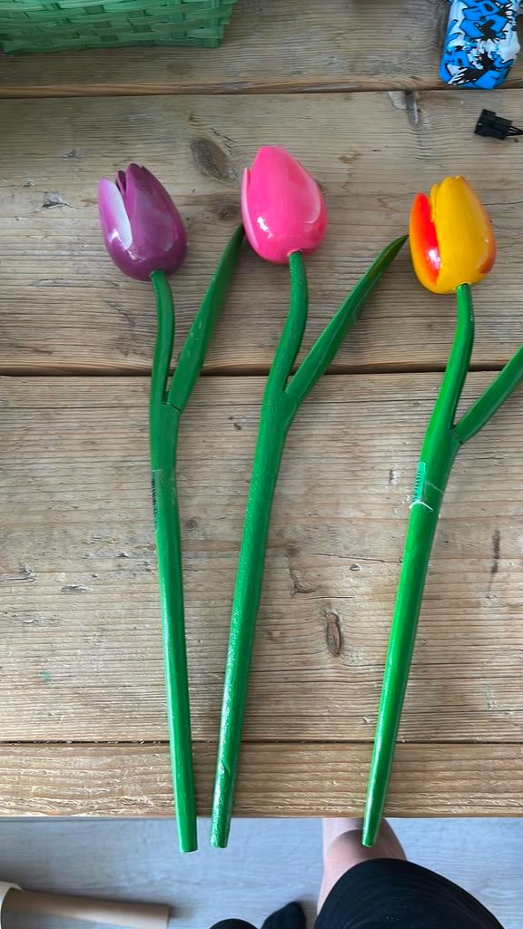 Bloom tulpen, Ophalen of Verzenden, Zo goed als nieuw