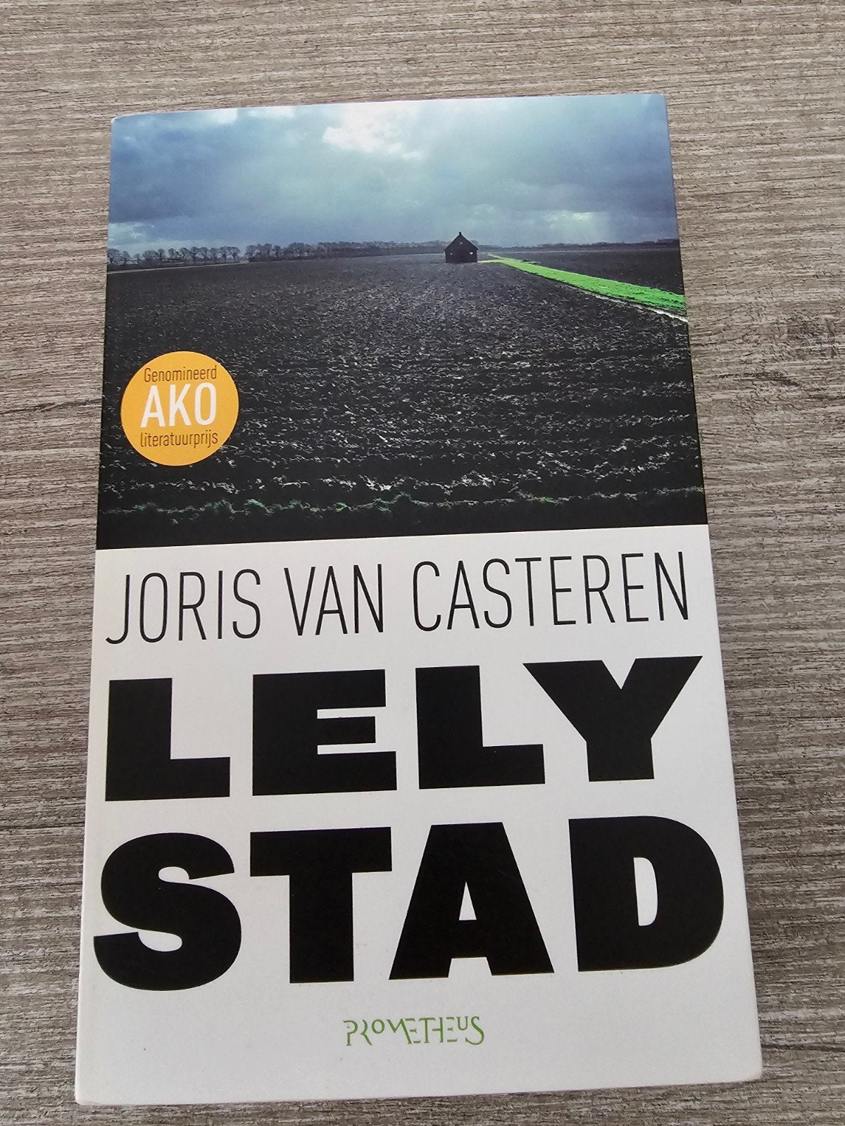 Lelystad  Joris van Casteren (Genomineerd AKO Literatuurprij, Ophalen of Verzenden, Gelezen, Joris van Casteren