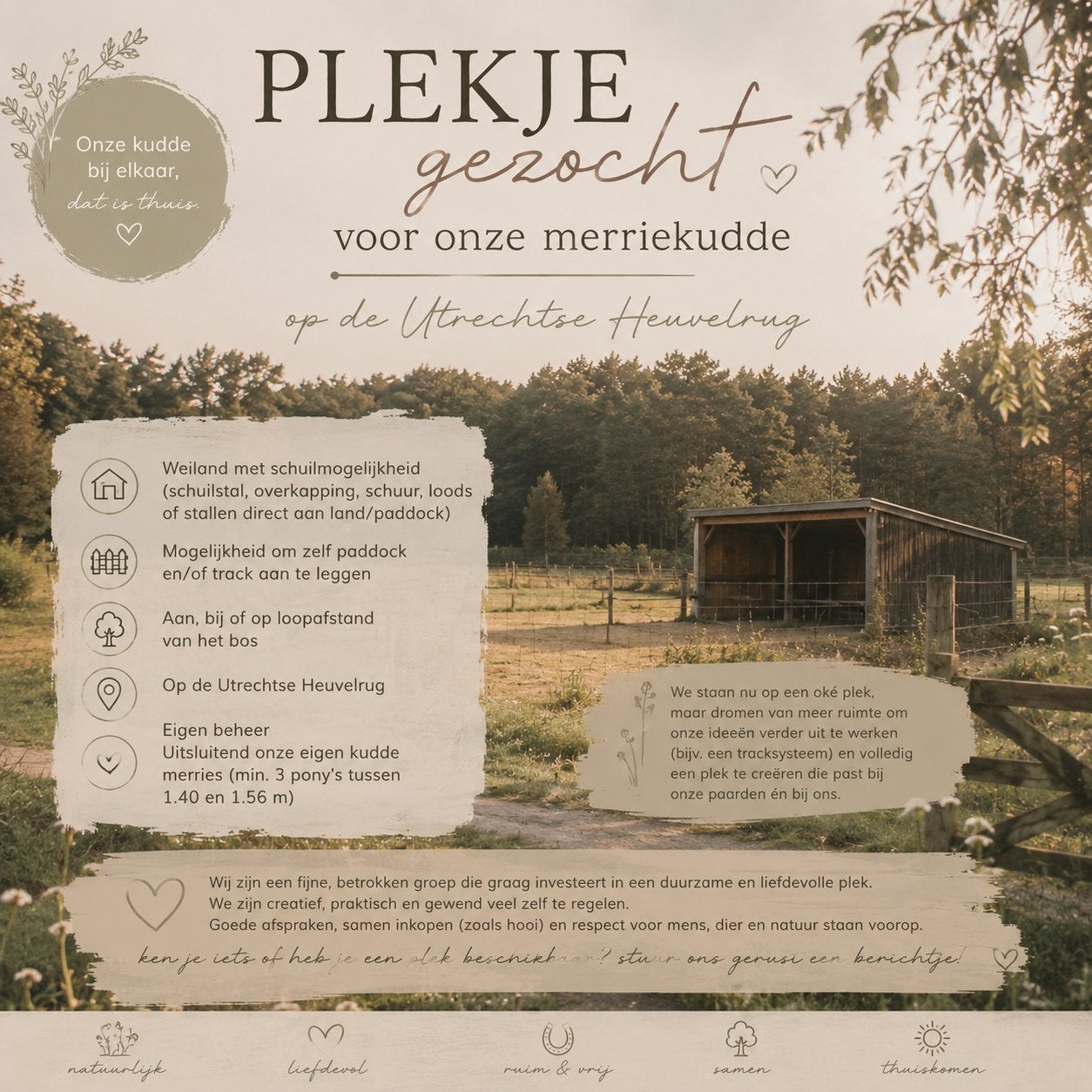 Plekje gezocht voor onze merriekudde, Weidegang