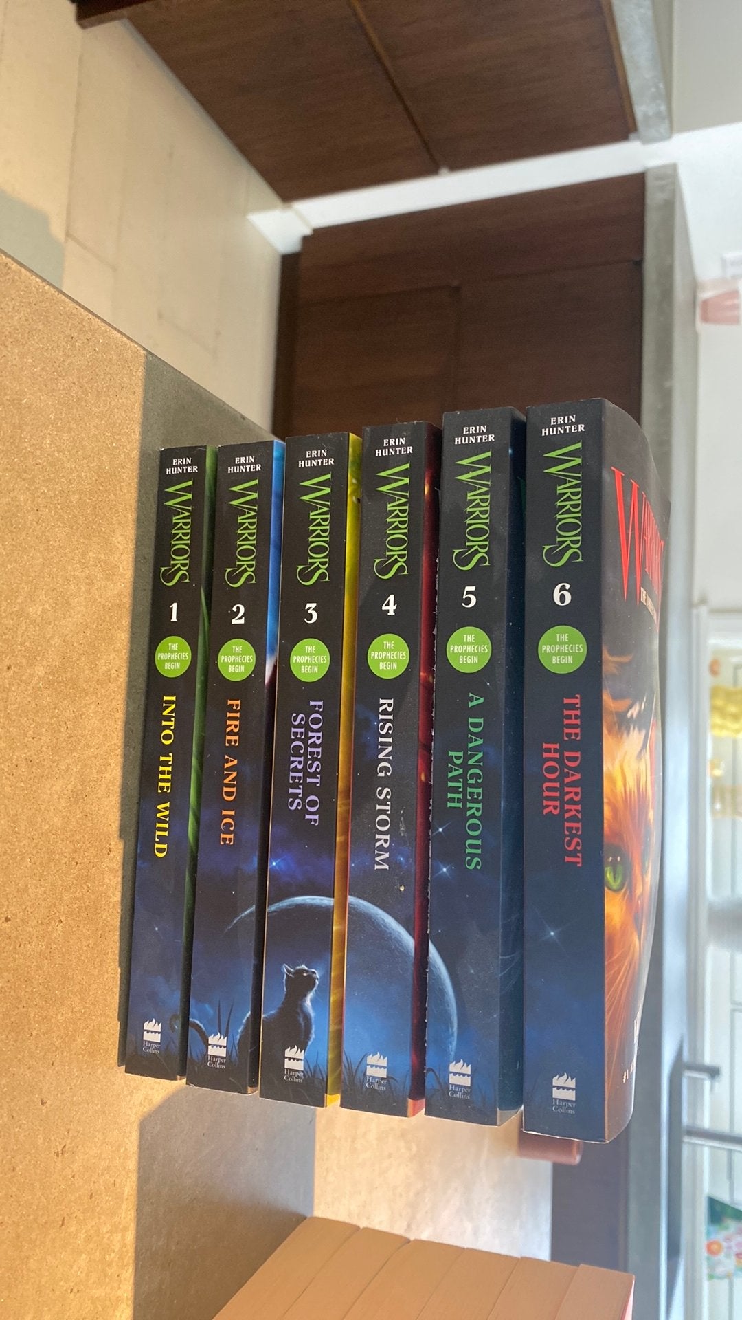 Warrior cats the prophecies begin, Engels talig, Verzenden, Zo goed als nieuw