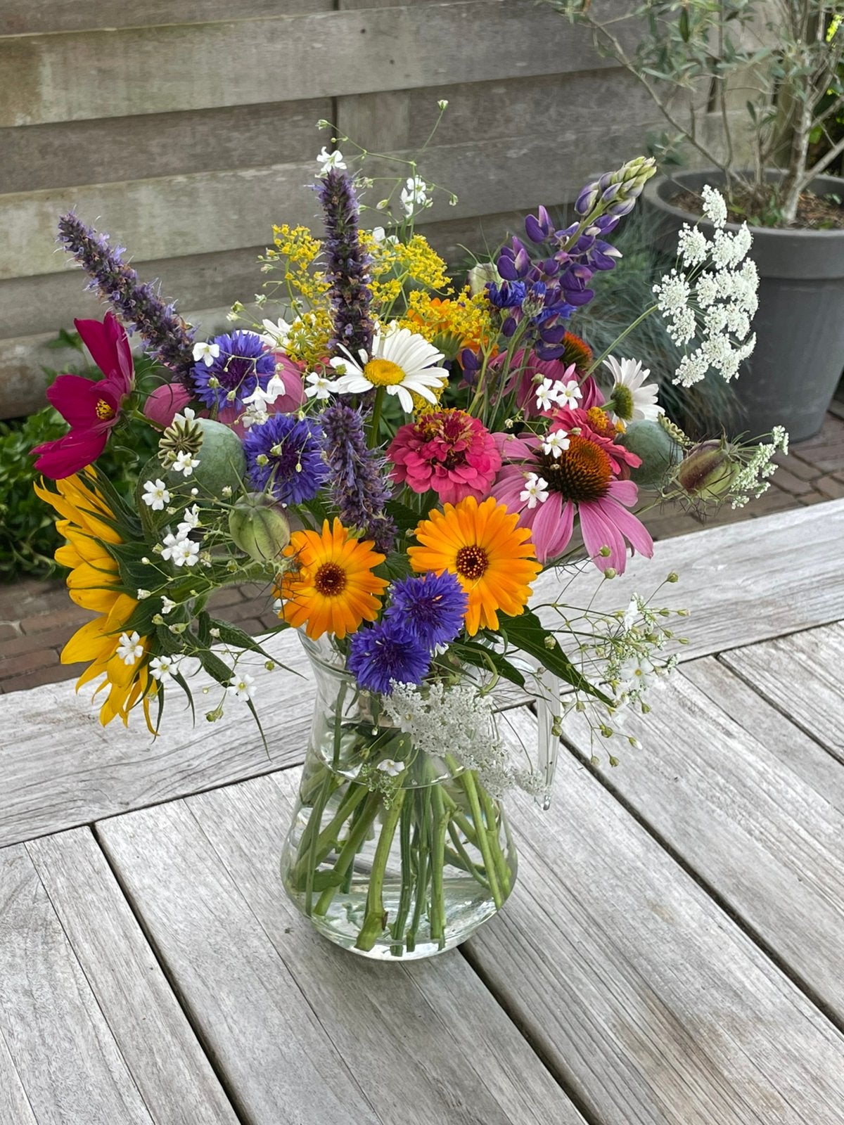 Vrij plukken in de pluktuin, Tuin en Terras, Planten | Tuinplanten, Ophalen
