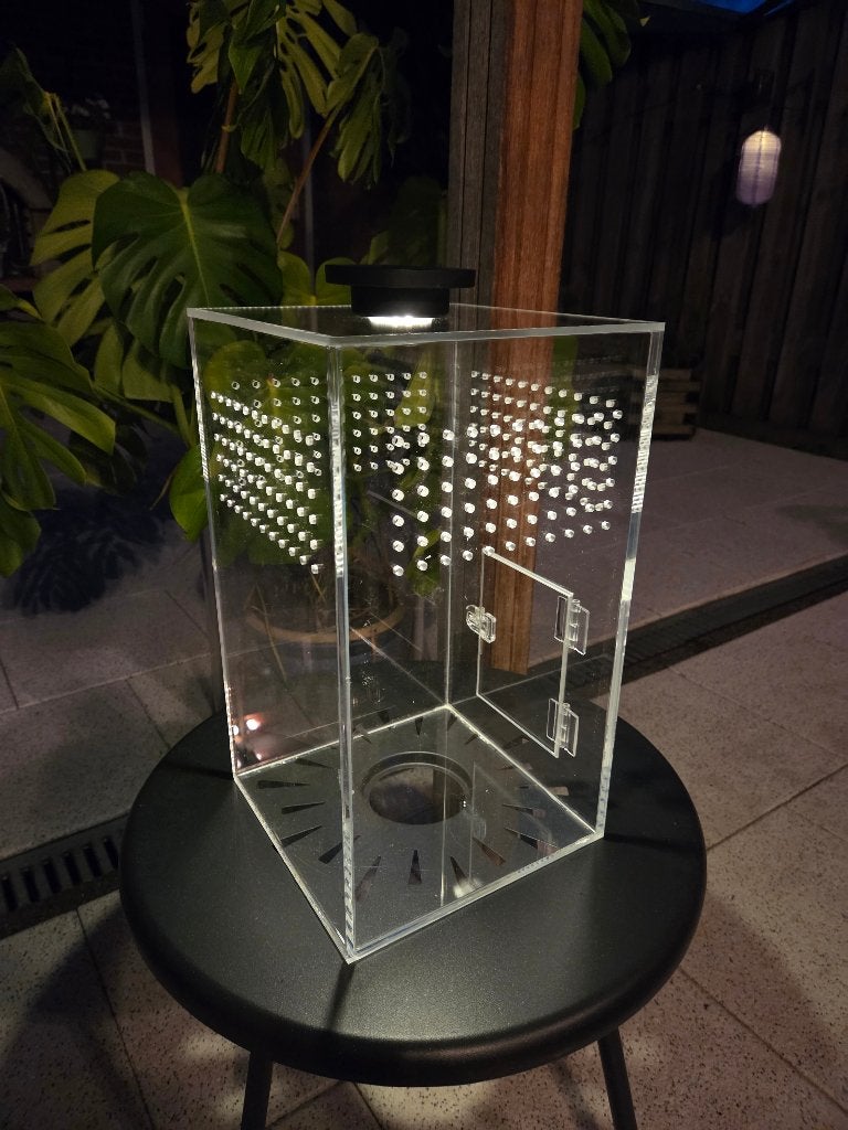 Tarantula terrarium, Dieren en Toebehoren, Insecten en Spinnen, Overige soorten