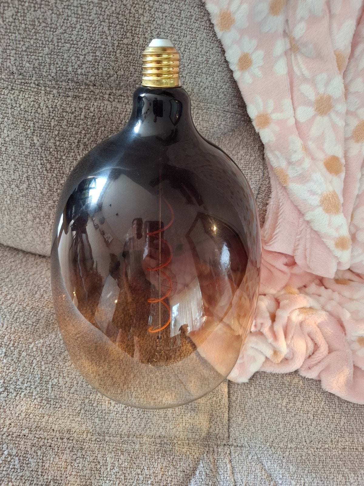 Grote EGLO LED Filament Lamp E27 - Dimbaar, Barnsteenbruin, Ophalen, Zo goed als nieuw
