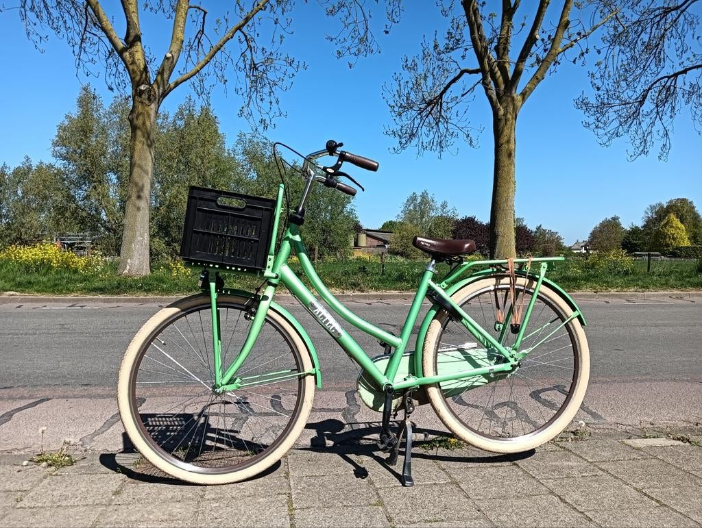 Altec Vintage 50 transportfiets damesfiets, Fietsen en Brommers, Terugtraprem, Gebruikt, Versnellingen, Ophalen