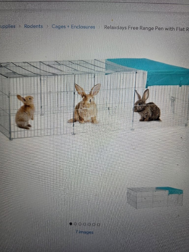 Konijnenren nieuw in doos, Ophalen, 110 cm of meer, Chinchilla, 60 tot 90 cm