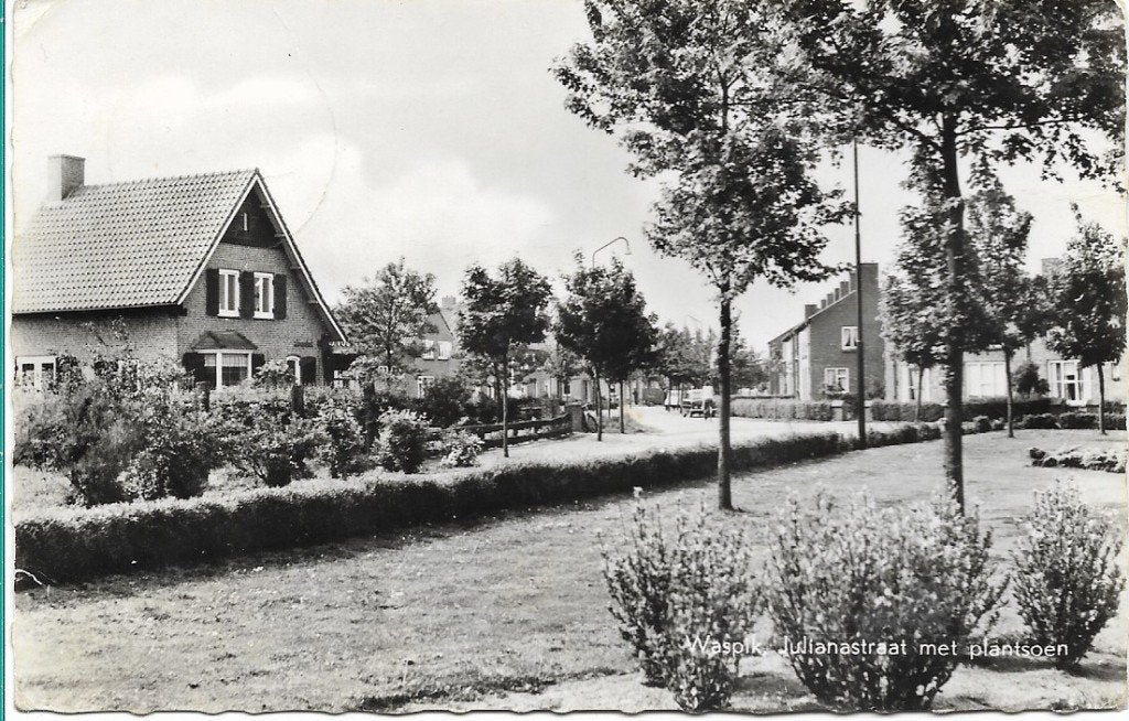Waspik 1965 Julianastraat met plantsoen, fotokaart, Verzamelen, Verzenden, 1960 tot 1980, Gelopen, Noord-Brabant