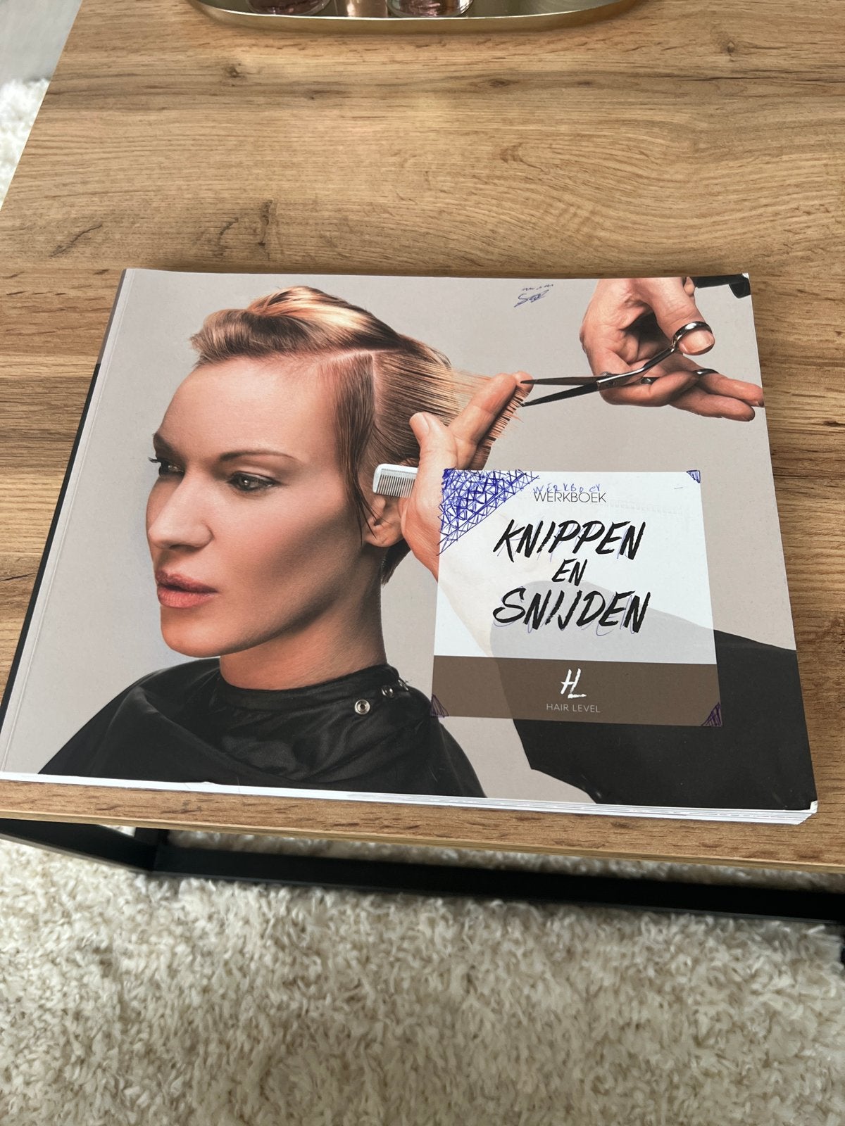 Knippen en Snijden Werkboek - Hair Level, Boeken, Ophalen of Verzenden, Beta, Gelezen, MBO
