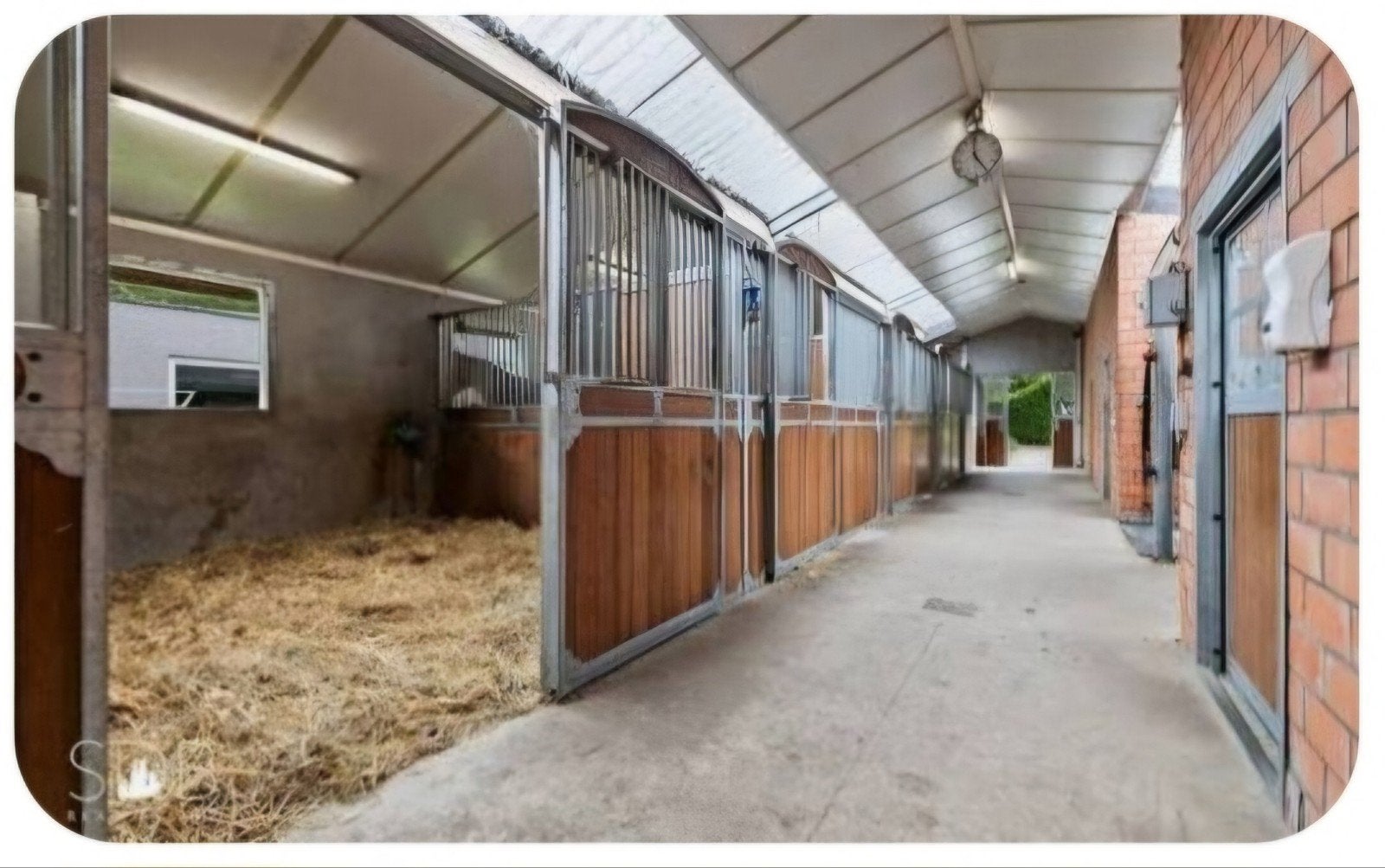 gezocht weiland en stalling paarden accommodatie, Dieren en Toebehoren, Stalling en Weidegang