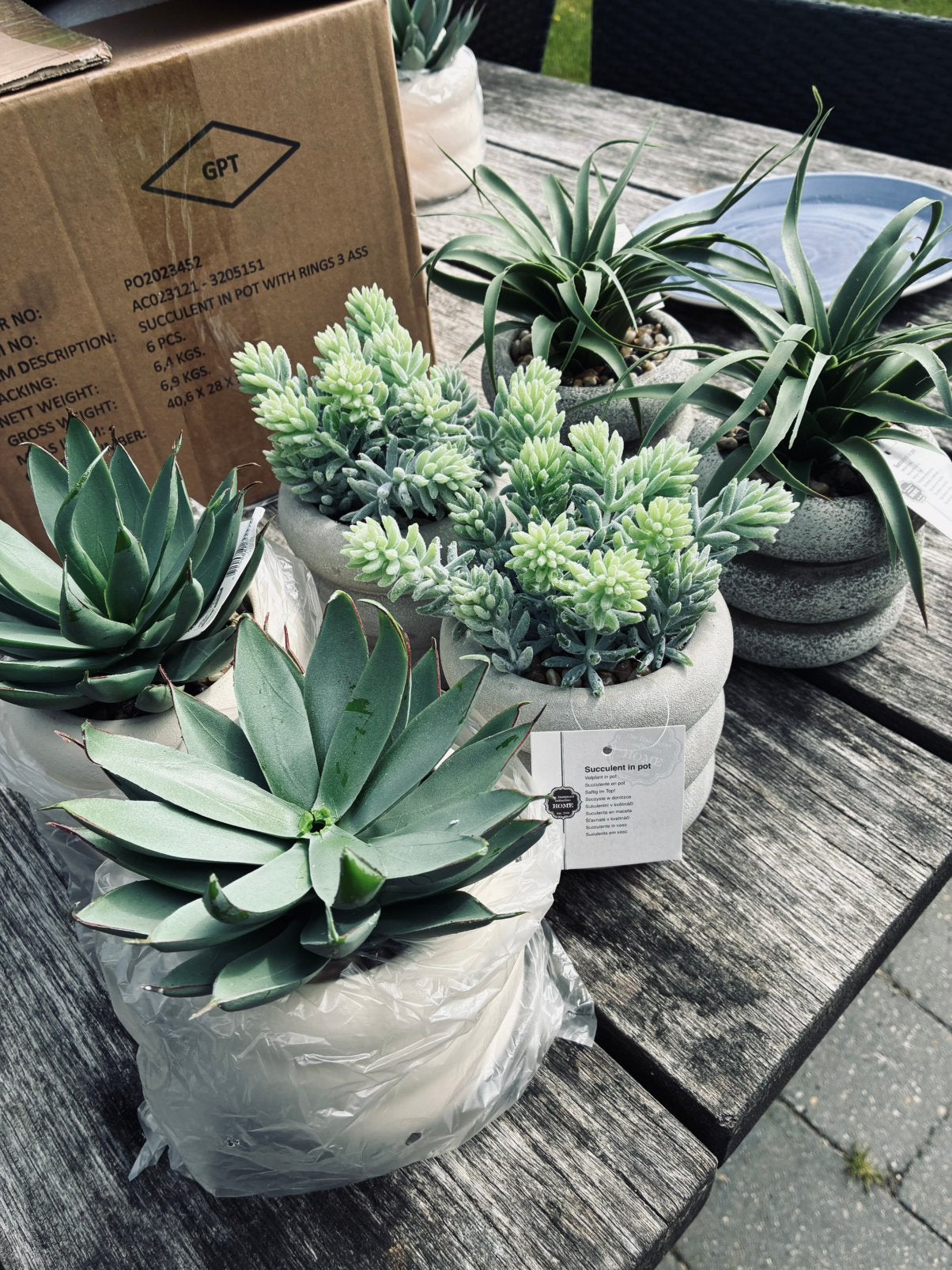 Kunstplant in pot 6 stuks, Ophalen, Nieuw, Binnen