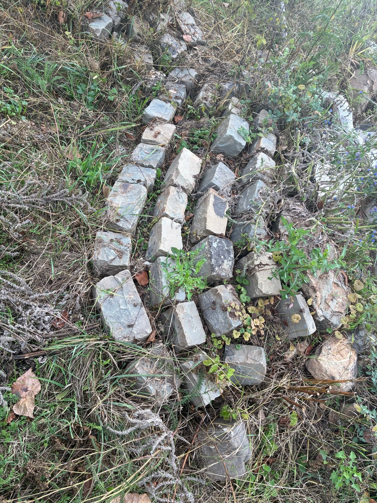Diverse stenen voor vijvers, Tuin en Terras, Ophalen, Gebruikt