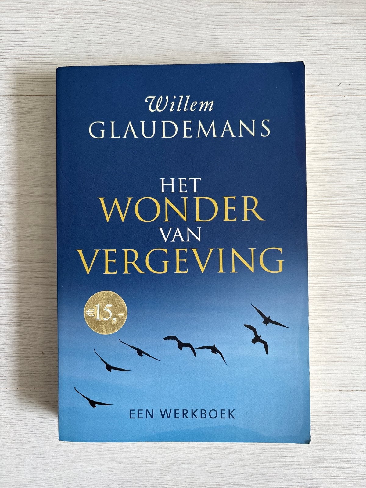 Het Wonder van Vergeving - Willem Glaudemans (Werkboek), Boeken, Esoterie en Spiritualiteit, Ophalen of Verzenden, Zo goed als nieuw