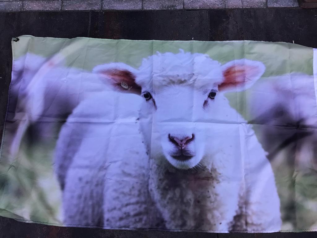Schapen- en wolvenvlaggen, Ophalen of Verzenden, Gebruikt, Versiering, Overige