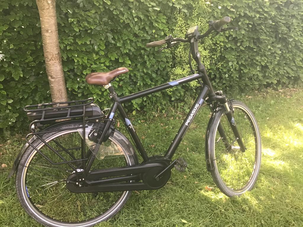 Pegasus siena E7F. heren en meer electrisch fiets, Zo goed als nieuw, Xxxx, Xxx, 59 cm of meer