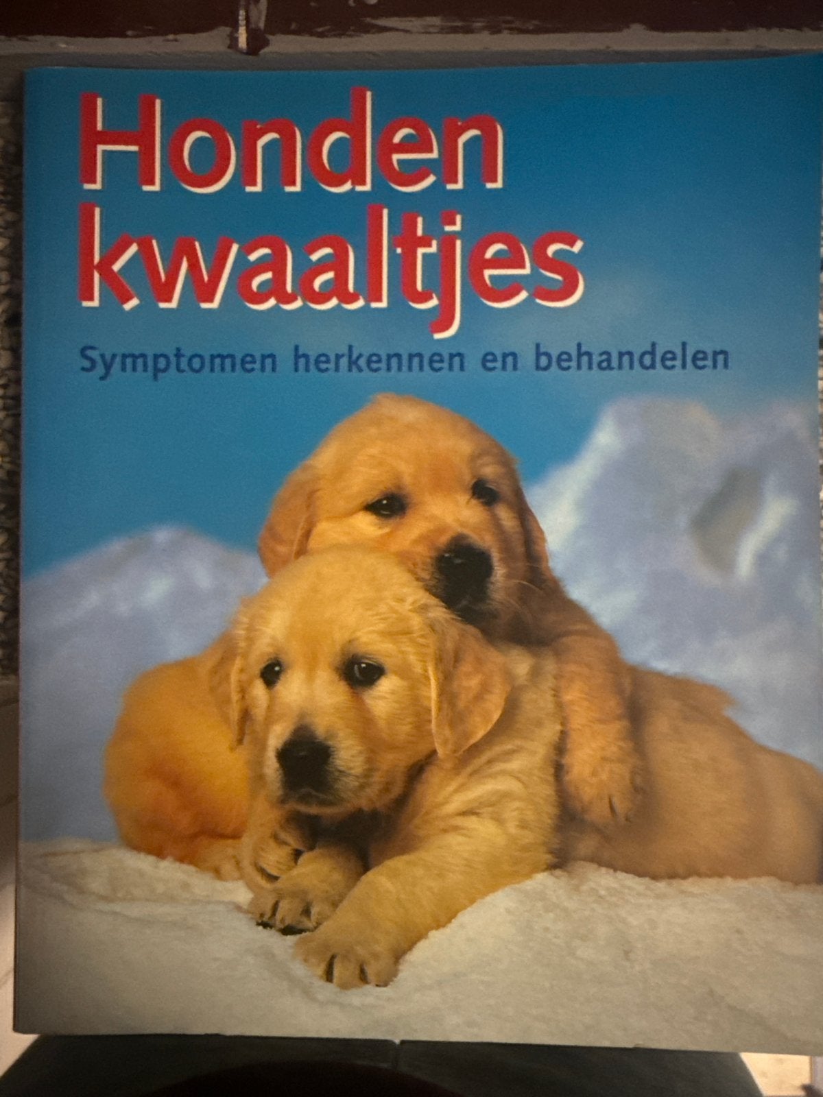 Hondenkwaaltjes, Ophalen of Verzenden, Zo goed als nieuw, Honden