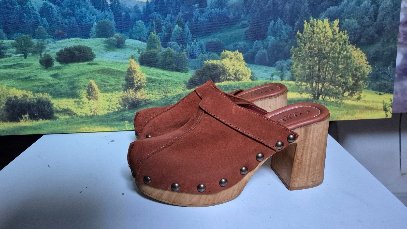 Nieuw Cypres dames klompen clogs leder mt 38, Overige typen, Ophalen of Verzenden, Cypres, Nieuw