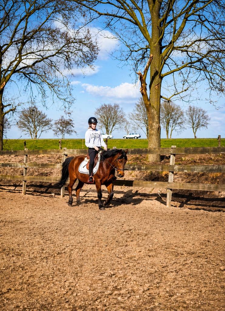 Fijn gereden kinder/manege pony’s te koop, Merrie, Recreatiepaard, 11 jaar of ouder