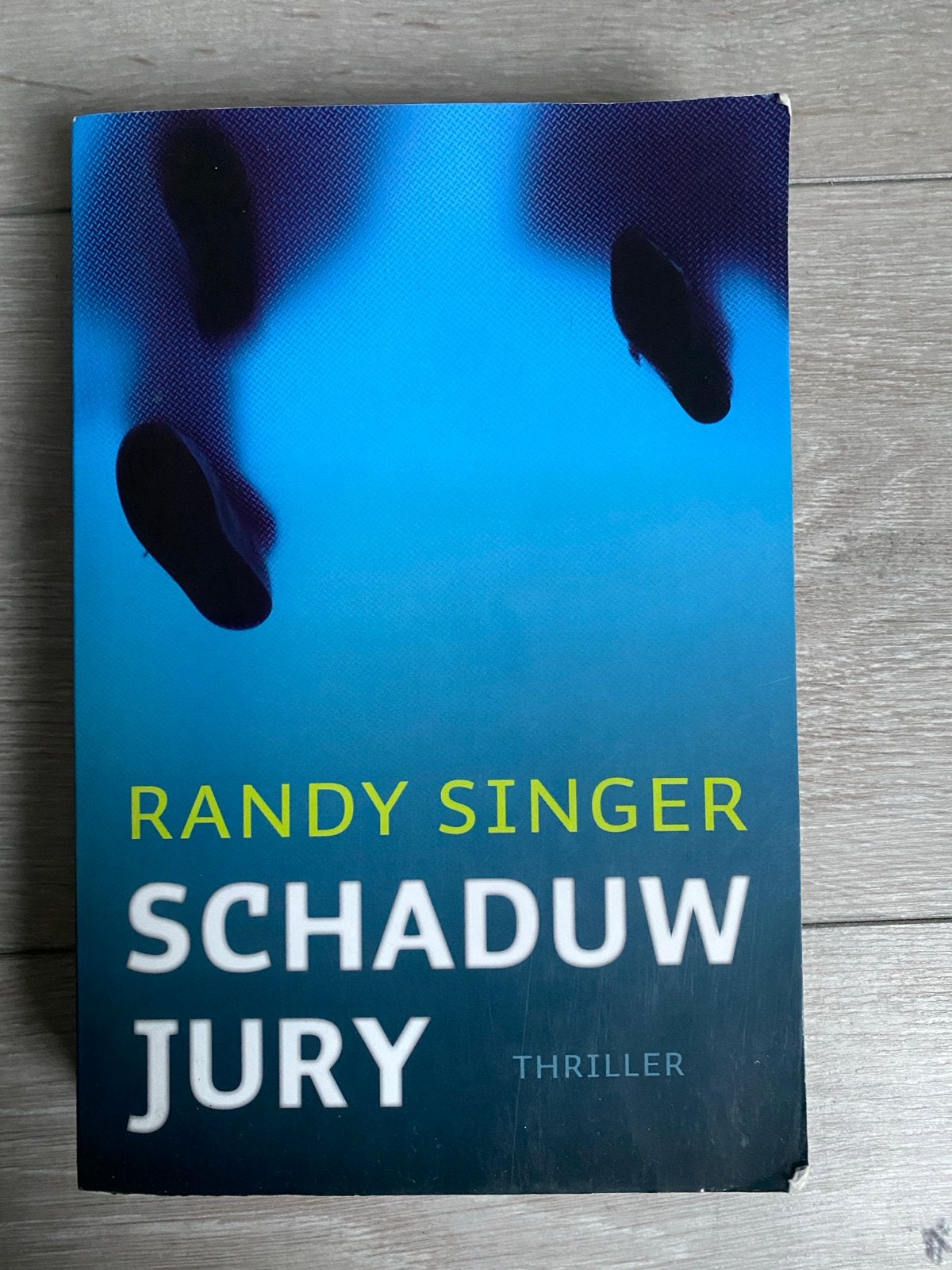 Randy Singer - Schaduwjury, Gelezen, Ophalen of Verzenden, Nederland, Randy Singer