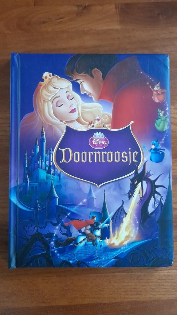 Doornroosje - Disney Princess boek, Ophalen, Zo goed als nieuw, Disney