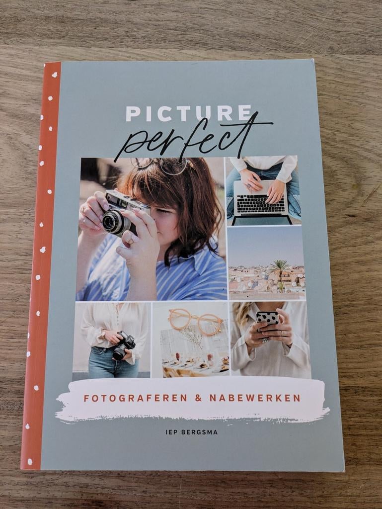 Picture Perfect: Fotograferen & Nabewerken - Iep Bergsma, Ophalen of Verzenden, Zo goed als nieuw, Fotografie algemeen, Iep Bergsma