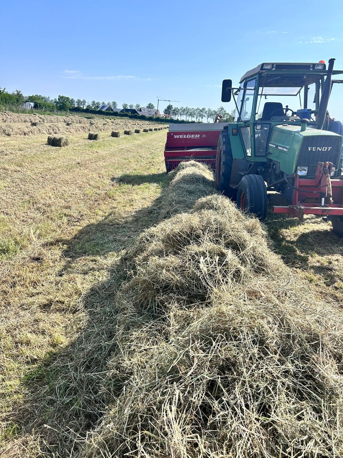 Kleine hooipakjes te koop - Vers hooi van eigen land, Ophalen of Verzenden