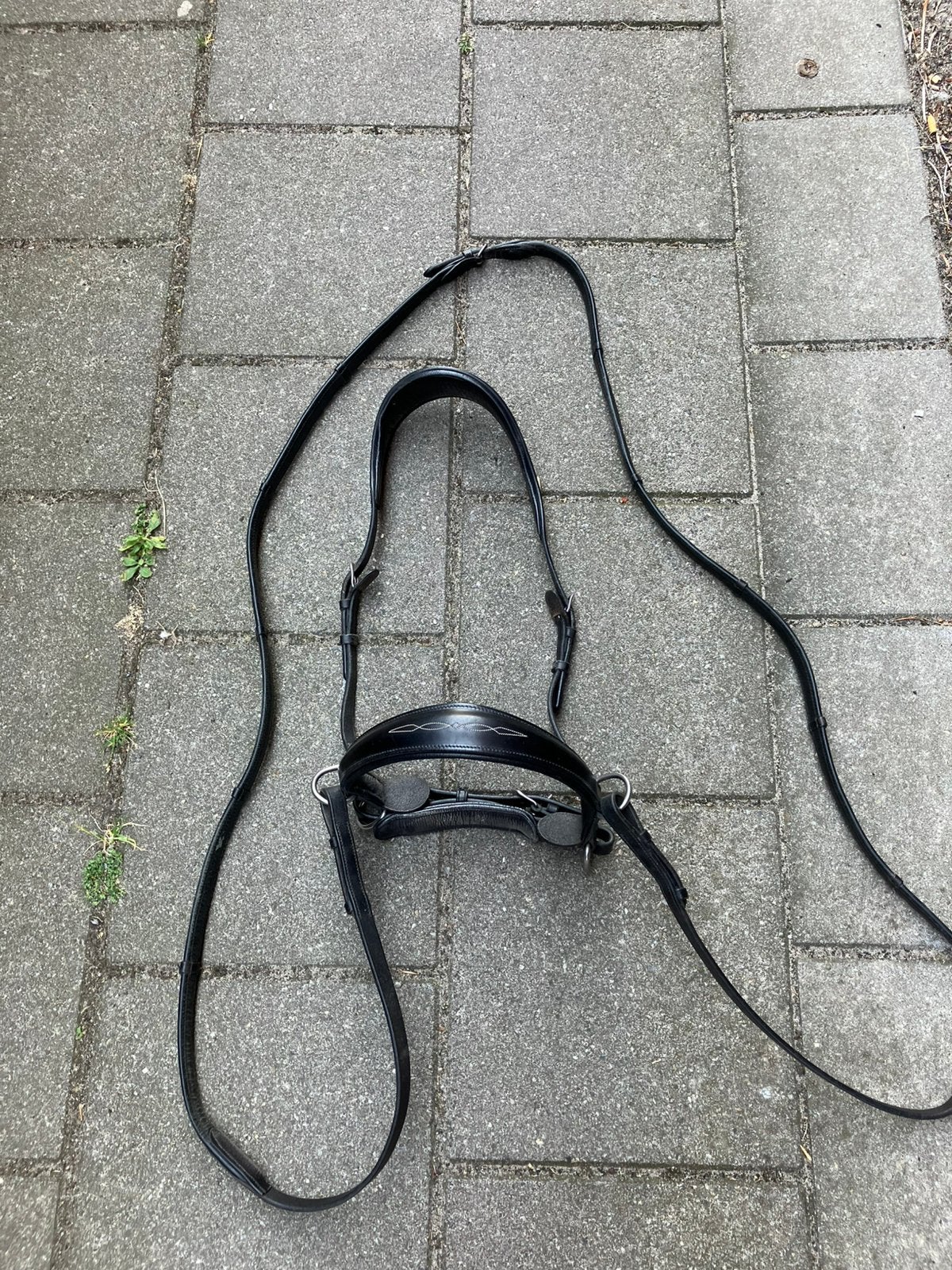 Bitloos hoofdstel, Dieren en Toebehoren, Ophalen of Verzenden, Zo goed als nieuw, Hoofdstel, Overige maten
