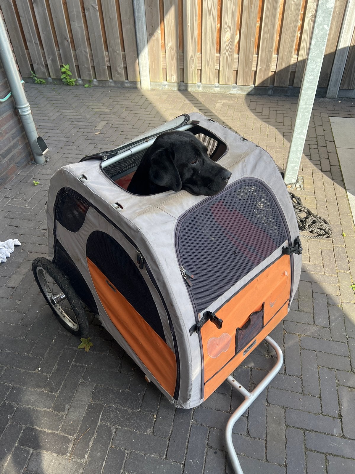 Hondenfietskar voor grote honden - Inklapbaar, Gebruikt, Opvouwbaar, Ophalen of Verzenden, Hondenkar
