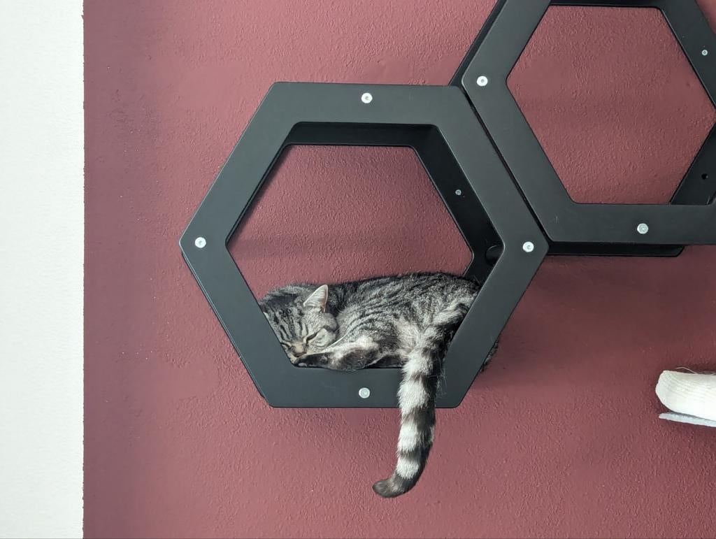 2 cat shelves - black, Ophalen