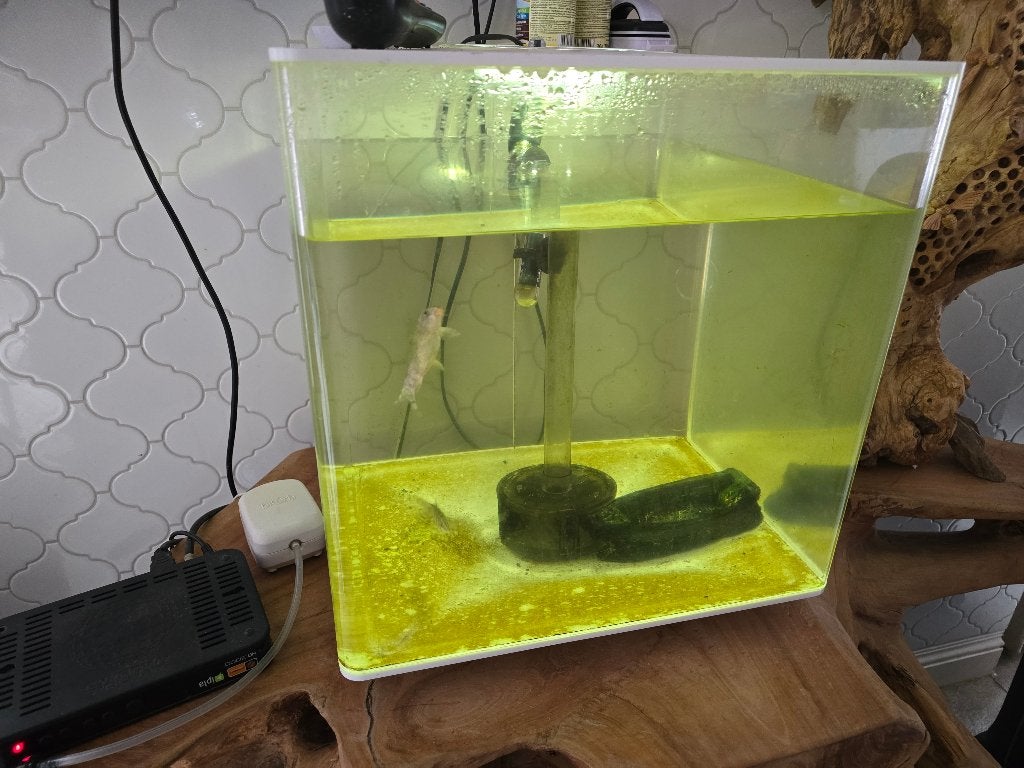 Aquarium, Ophalen, Gebruikt, Leeg aquarium