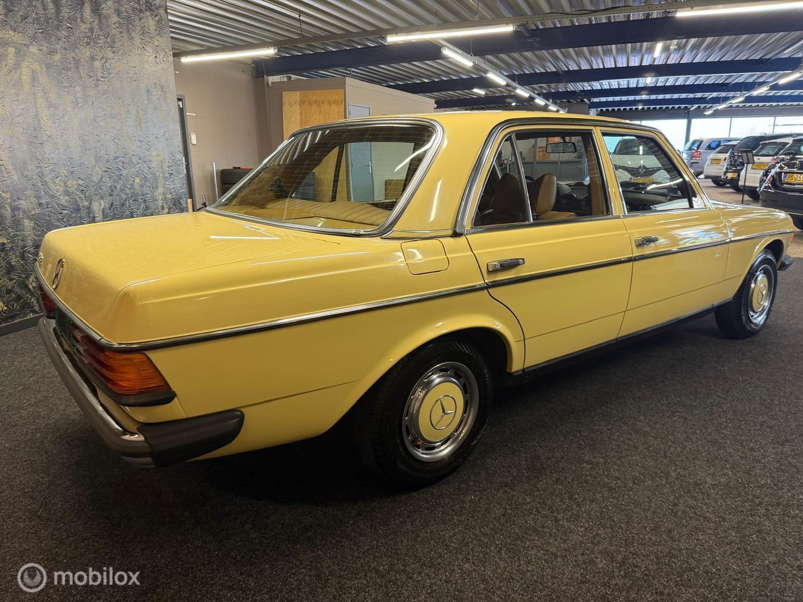 Mercedes Mercedes 250 Oldtimer W123 E/S 250, foto 5
