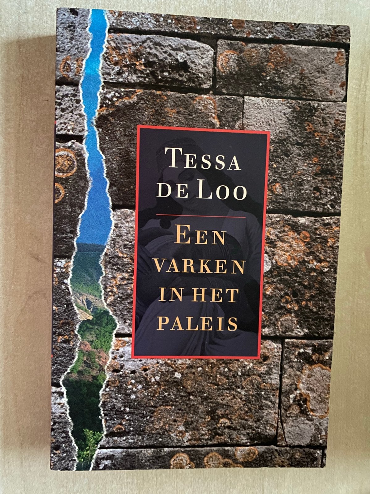 Een varken in het paleis (Tessa de Loo), Ophalen of Verzenden, Zo goed als nieuw