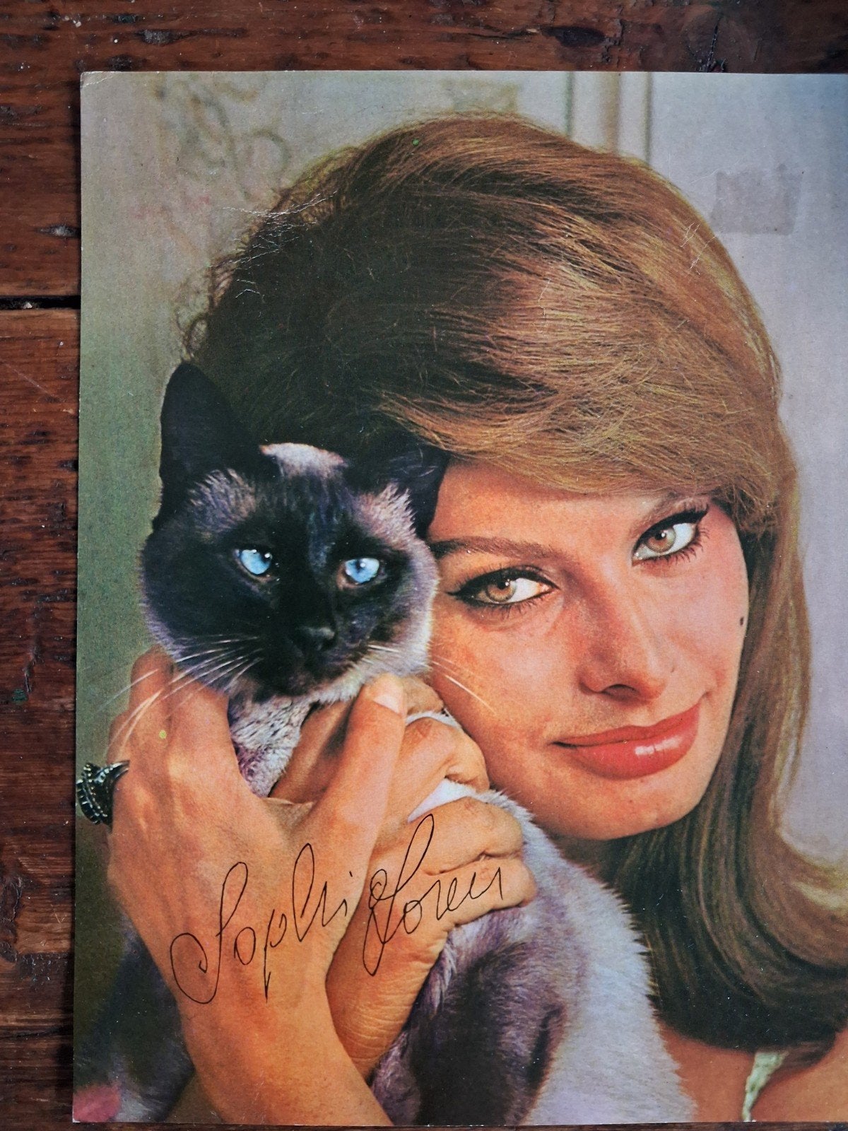 Sophia Loren  kleurenfoto/plaat, Ophalen of Verzenden, Foto of Kaart