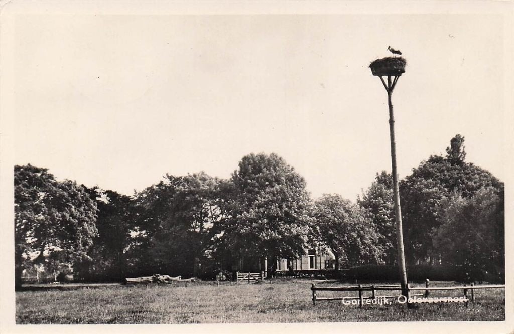 703-026-009 Gorredijk Ooievaarsnest, Verzenden, Voor 1920, Friesland