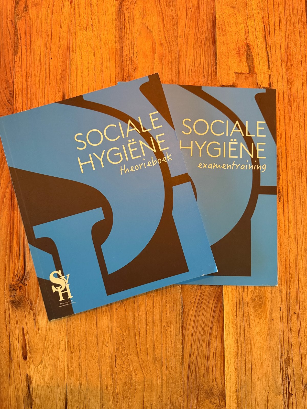 Sociale Hygiëne theorieboek en examentraining, Ophalen of Verzenden, Gamma, Zo goed als nieuw, MBO
