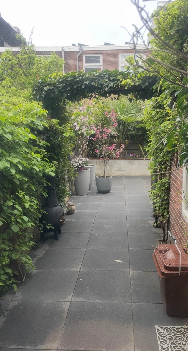 GRATIS 50 Mooie tegels Antraciet, Tuin en Terras, Ophalen, Overige materialen, Gebruikt, Minder dan 3 meter