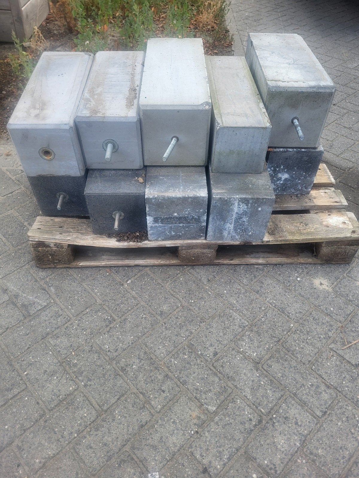 Restpartij Betonpoer beschadigd en verkleurd, Ophalen, 60 cm of meer, Overige typen, 50 tot 75 cm