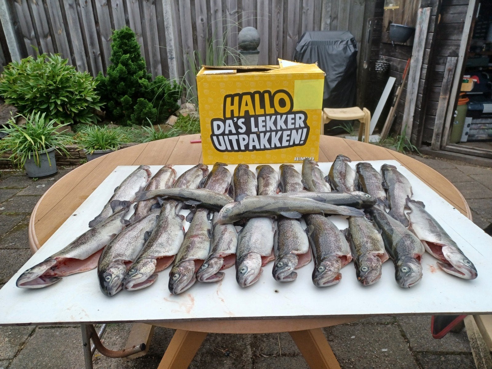 Verse en gerookte forellen, Diversen, Ophalen