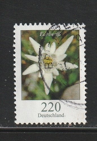 Duitsland 2006 Michel nr. 2530, Postzegels en Munten, Verzenden, 1990 tot heden, Gestempeld