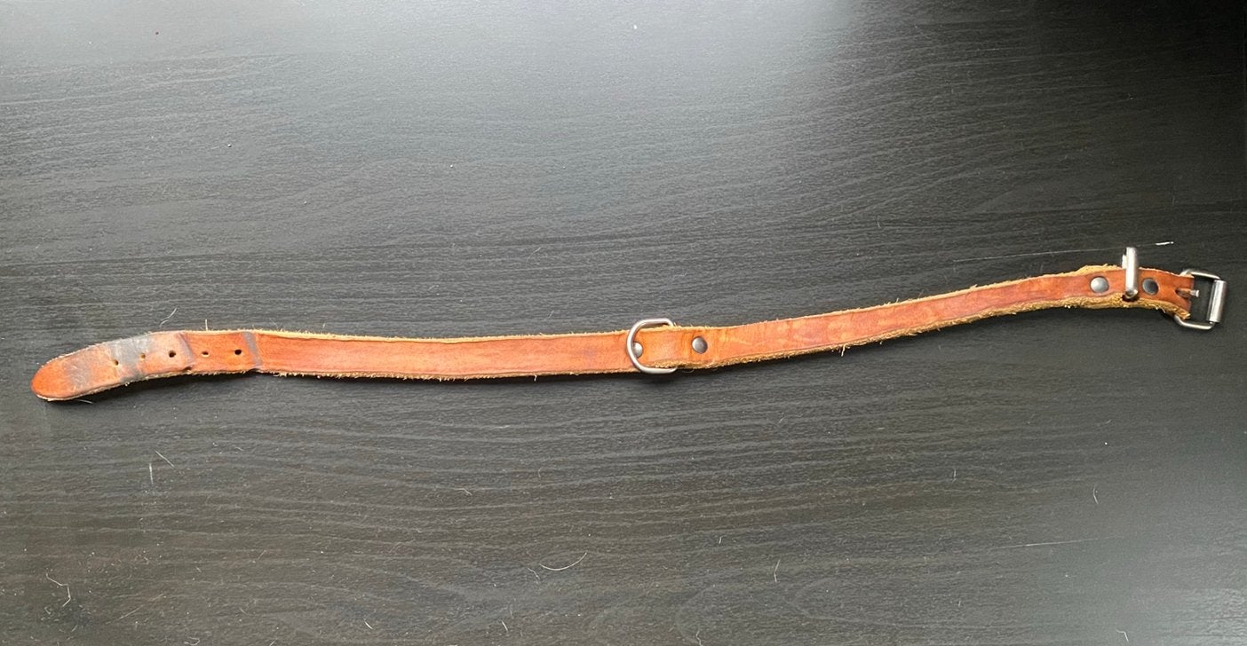 GRATIS Vetleder Adori Honden Halsband, Ophalen of Verzenden, Gebruikt