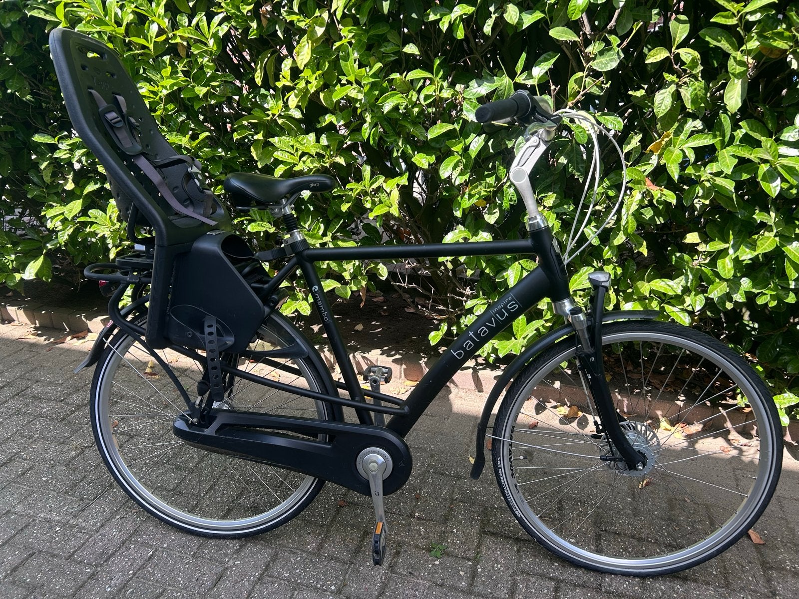 Batavus Mambo opknapper - Ideaal project voor de handige fie, Ophalen, Gebruikt, Batavus, Versnellingen