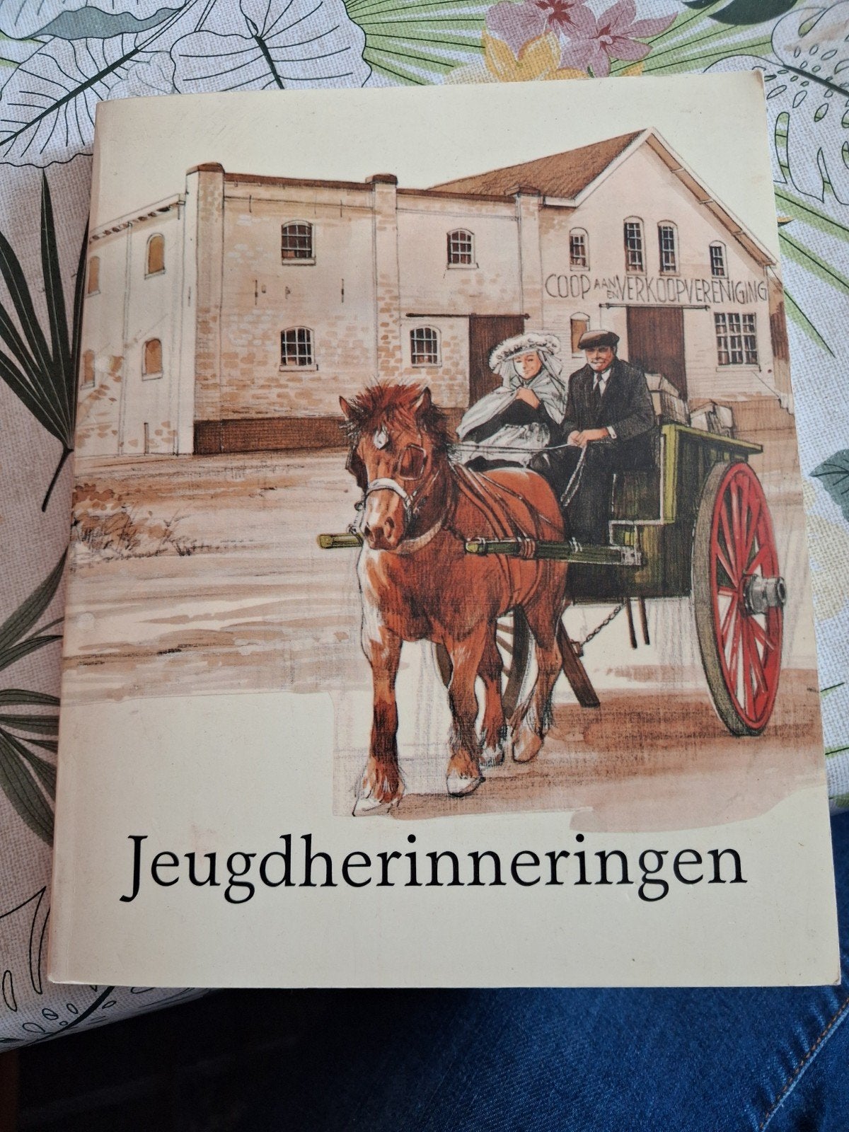 Jeugdherinneringen: Vele foto's van vroeger Boekel/Gemert, Ophalen of Verzenden, Gelezen, Mevr. v. Sleeuwen, Nederland