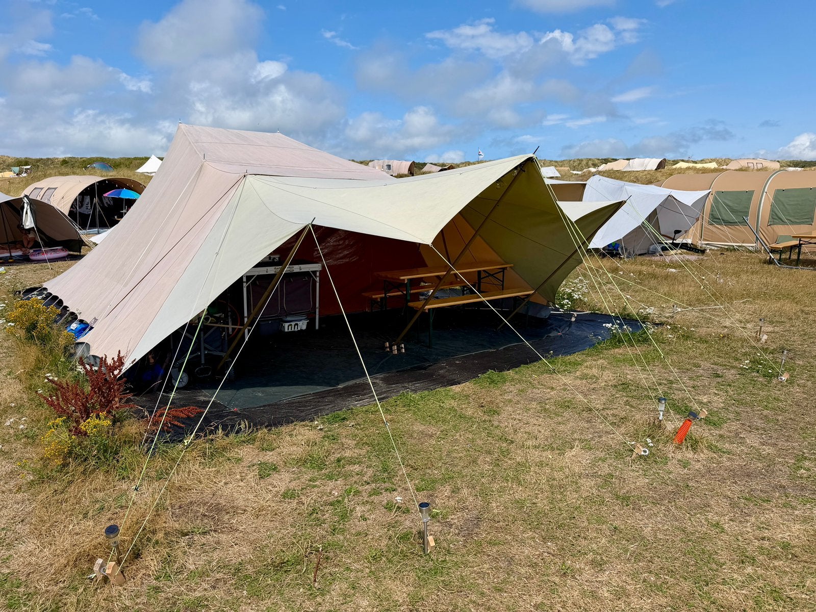 Tent Vlieland 15 - 22 aug. nog vrij ! veld groen incl stroom